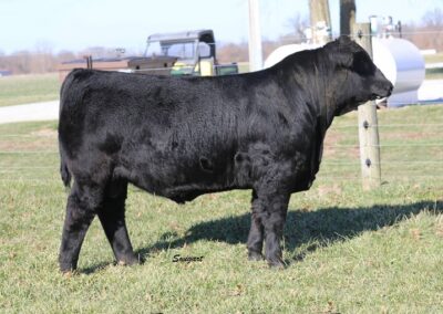 LOT 37-RS ANCHOR 7538H