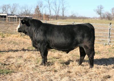 Lot 3- HHS HERMAN 874H