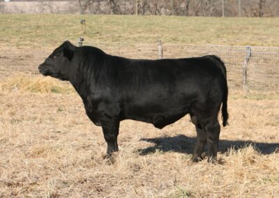Lot 4- HHS HARDY 842H